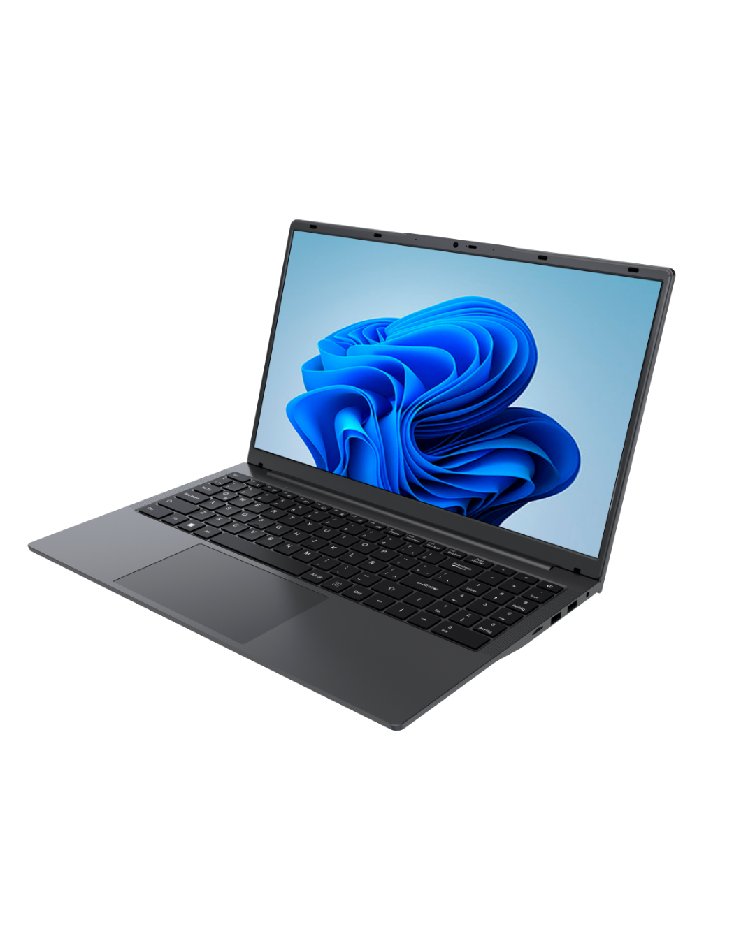 Reeder C19 Dizüstü Bilgisayar