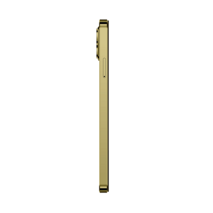 Reeder S23 Pro Max 1 TB Gold