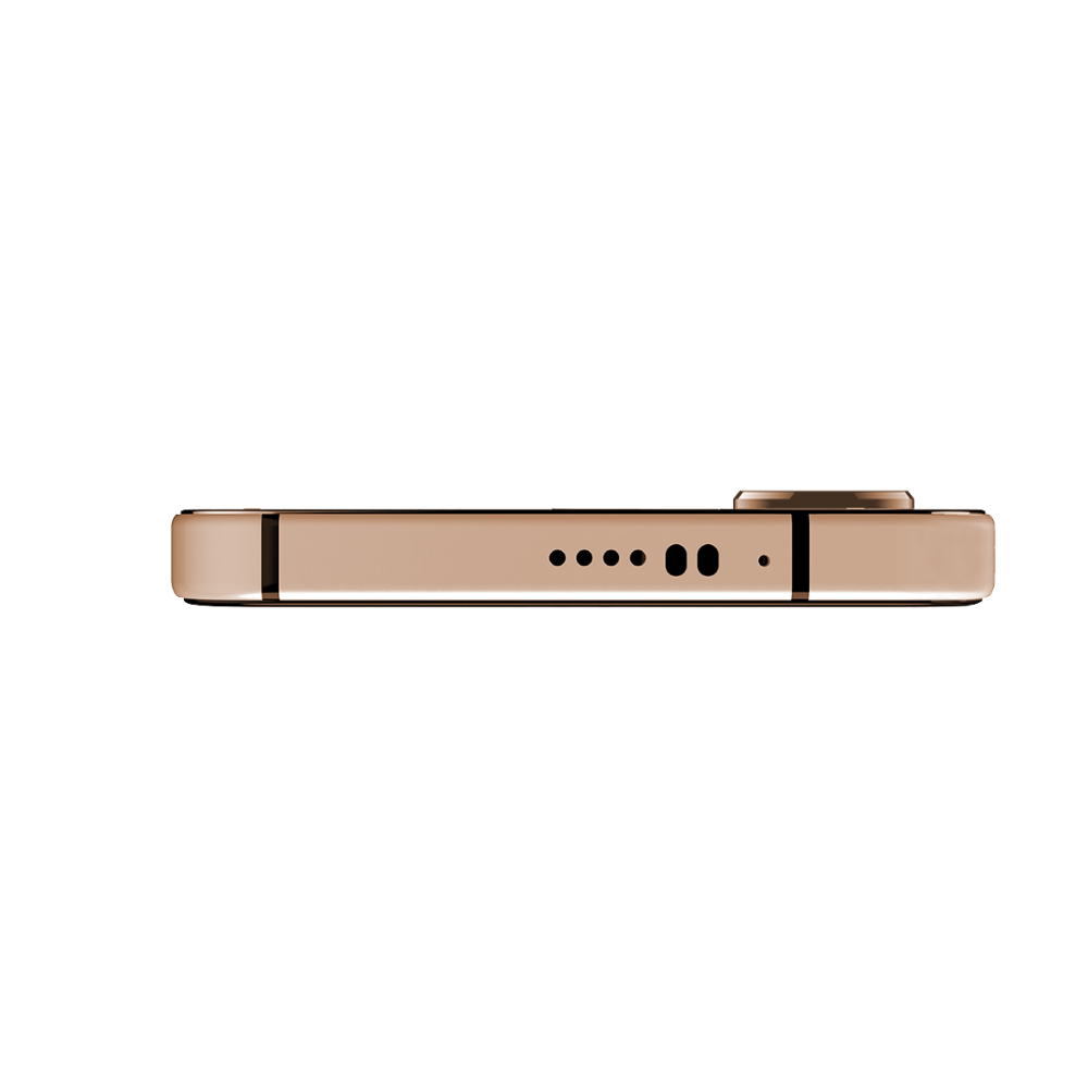 Reeder S71 Flip Katlanabilir Cep Telefonu Gold