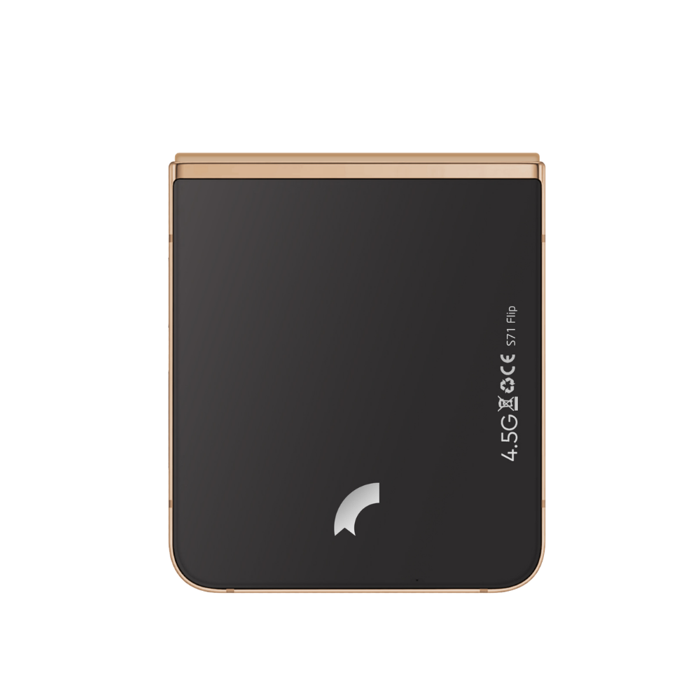 Reeder S71 Flip Katlanabilir Cep Telefonu Gold