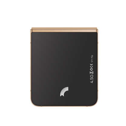 Reeder S71 Flip Katlanabilir Cep Telefonu Gold