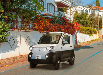 Reeder ReeV Fancy 500. Özel Üretim Elektirikli Araç